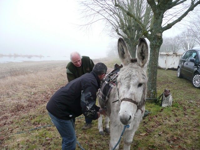 Loire Propre 2012 (4).jpg